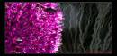 IMG_8142-Edit-2.jpg
