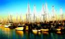Marina_Yachts_F.jpg