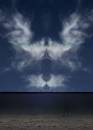 Phoenix-Rising-web.jpg