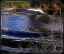 SEVERN_BORE.jpg