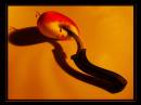Shadows_Apple_Knife.jpg