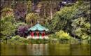 TEAHOUSE_SAN_FRANCISCO.jpg