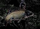 The_Man_And_His_Carp.jpg