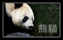 Tian.jpg