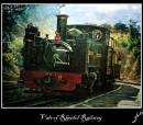 Vale_of_Rheidol_Railway.jpg