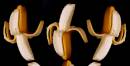 banana-danceweb.jpg