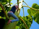 beanstalk_Myah_resize.jpg