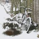 bike_3.jpg
