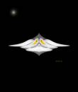 lunar_swan_jweb1.jpg