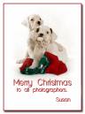 natale2_p1-4.jpg