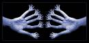 palmestry.jpg
