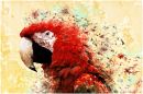 parrot2.jpg
