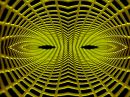 perspective_lines_resize.jpg