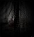 shadowfenceJweb.jpg