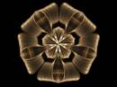 slinky_bow_5.jpg