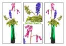 spring-flowersweb.jpg