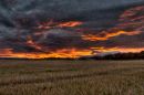 sunrise31.jpg