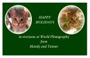 wp_greeting_card.jpg