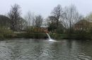 47798A08-3870-4E5D-B206-24210F95CAF3.jpeg