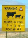 80449_Warning.JPG