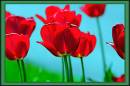 A30_0590_1_.jpg