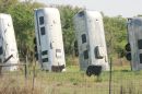 Airstream_Cows_Red.jpg
