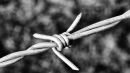 Barbed_Wire.jpg