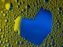 C_heart_bubbles.jpg