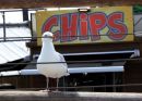 Chips_800.JPG