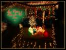 Christmas_2008.jpg