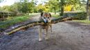 DSC00043.jpg