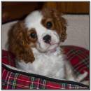 DSC006641.jpg