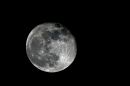 DSC02295--s.jpg