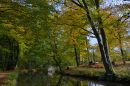 DSC7740Ghost_Boat_1061_x_705_.jpg