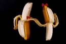DSC_8155xboweb.jpg