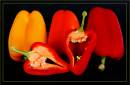 DSC_8221wot-no-pepperweb.jpg