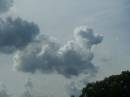 Dog-Cloud.jpg