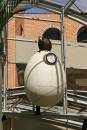 Eggstraordinary.jpg