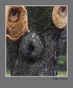 EyesCRW_6757-01.jpg