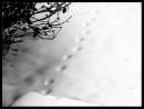 Foot_prints_in_the_Snow_.jpg