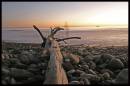 Ghostly_Beach_Image.jpg