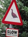 Grouse_Crossing.jpg