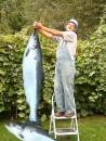 Huge_Salmon.jpg