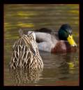 IMG_0170-Edit.jpg