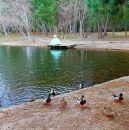 IMG_9153s.jpg
