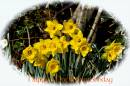 Mothering_Sunday.jpg
