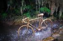 Petrifying_Bicycle.jpg