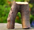 Rude_wood.jpg