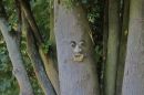 The_tree_is_looking_at_you.jpg