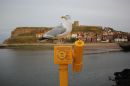 Whitby_9-8-2018.jpg